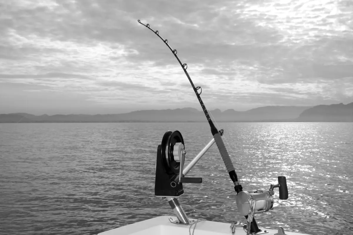 Best Fishing Downriggers