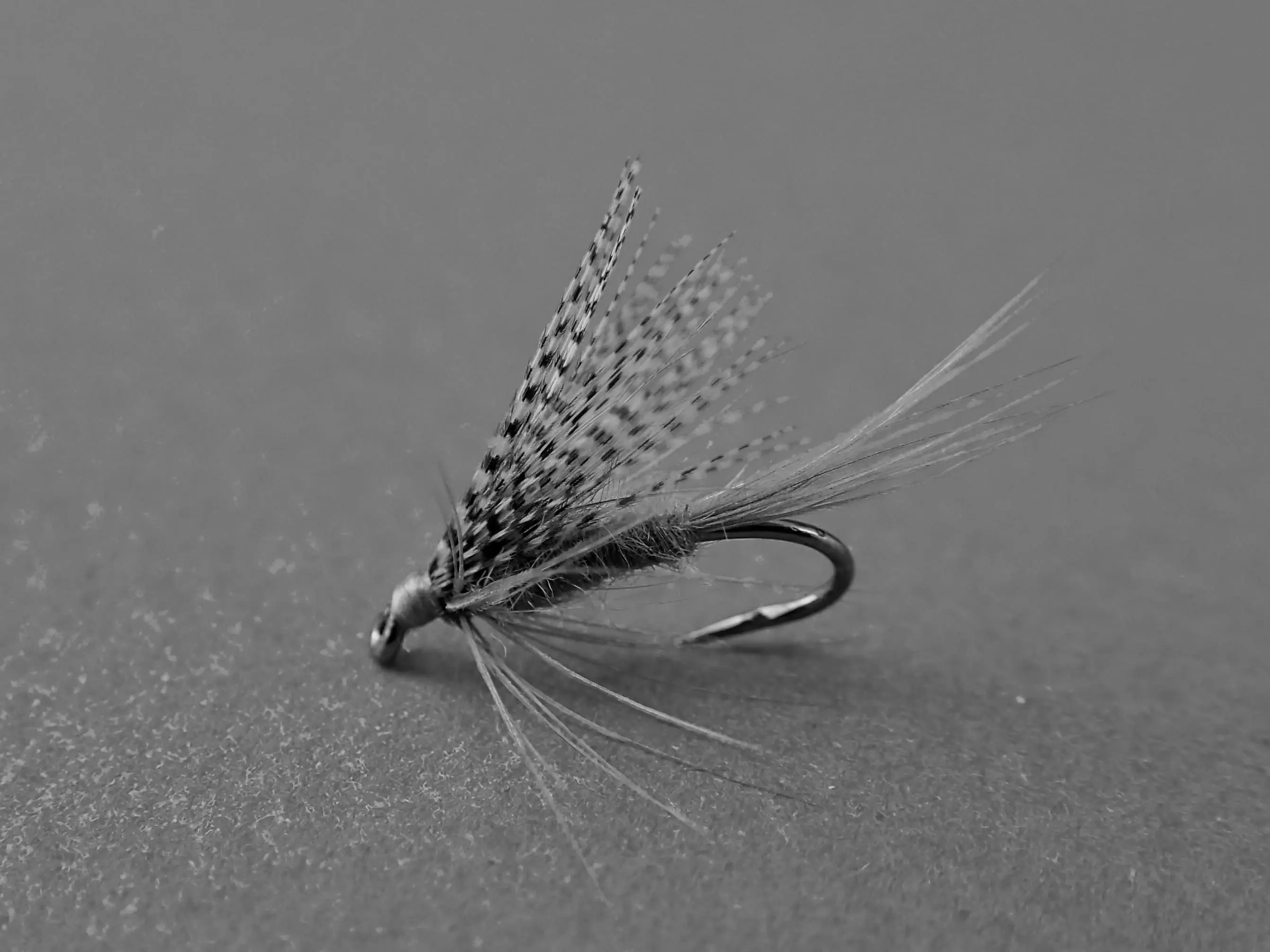Best Fly Fishing Wet Flies