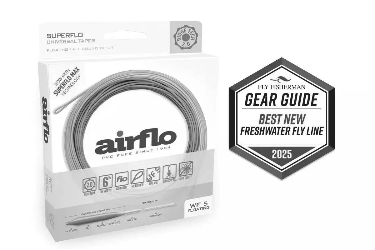 Best Fly Line