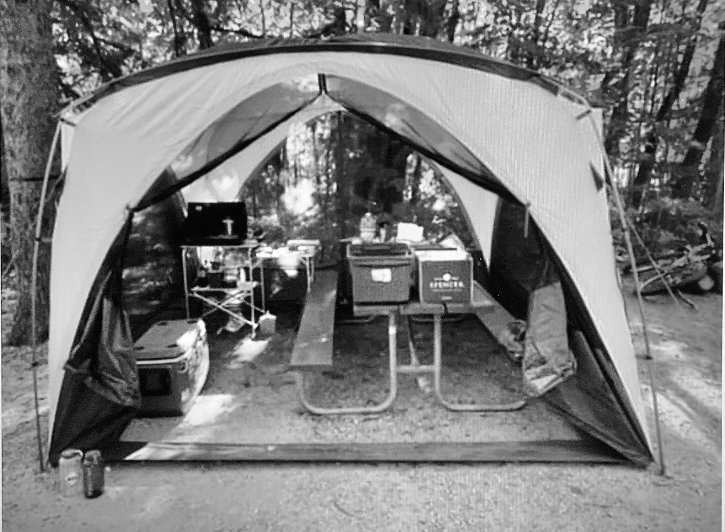 Best Freestanding Shelters