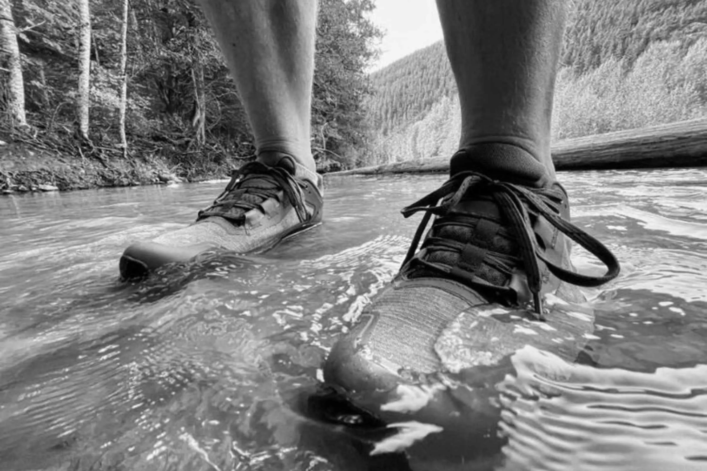 Best GORE TEX Hiking Shoes