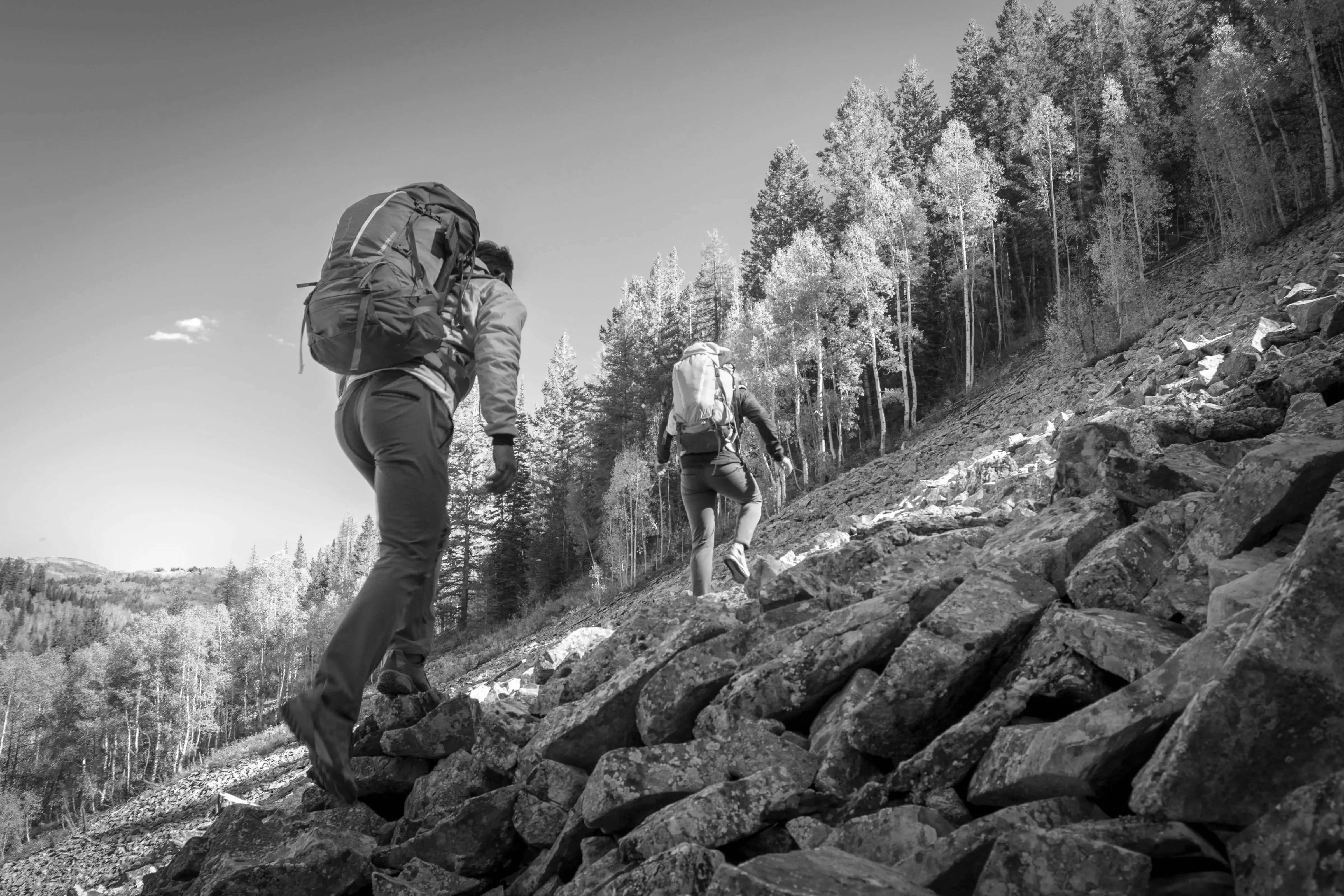 Best Hiking Pants