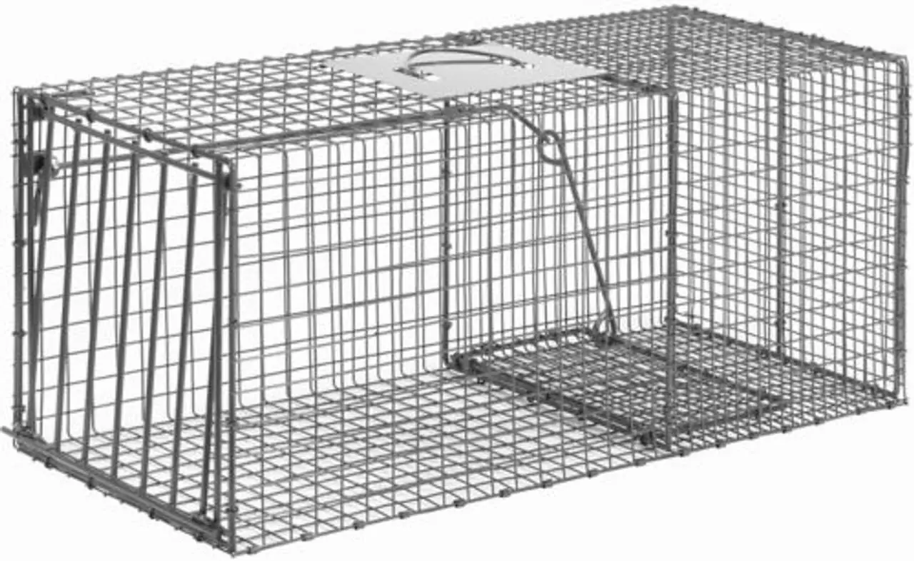 Best Hunting Cage Traps