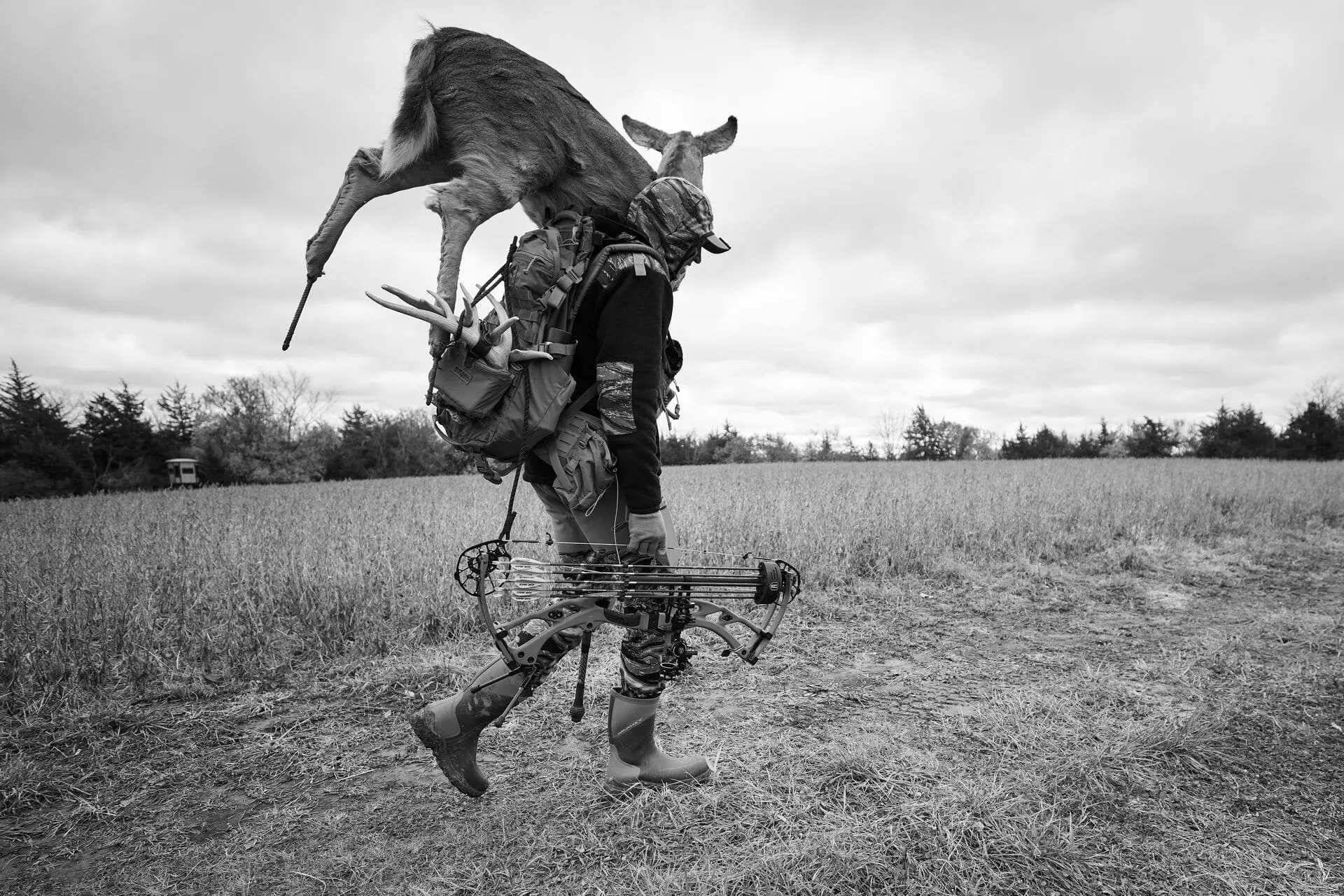 Best Hunting Decoys