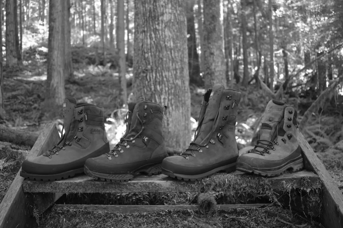Best Hunting Footwear
