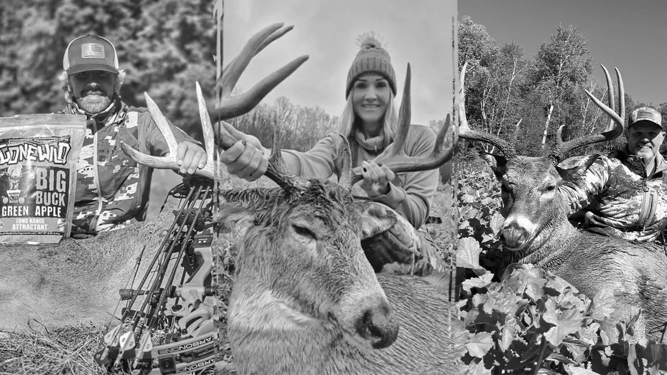 Best Hunting Game Feed & Attractants
