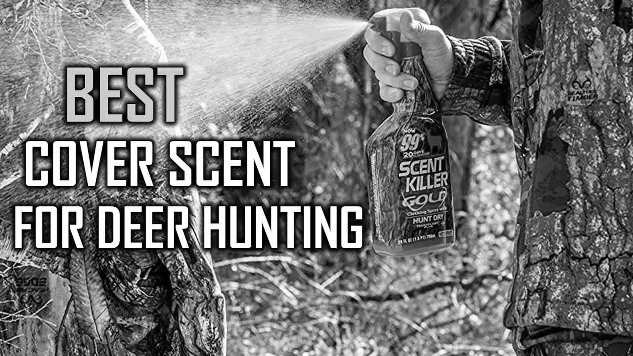 Best Hunting Scents