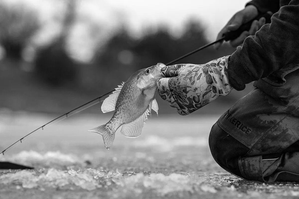 Best Ice Fishing Fishing Line