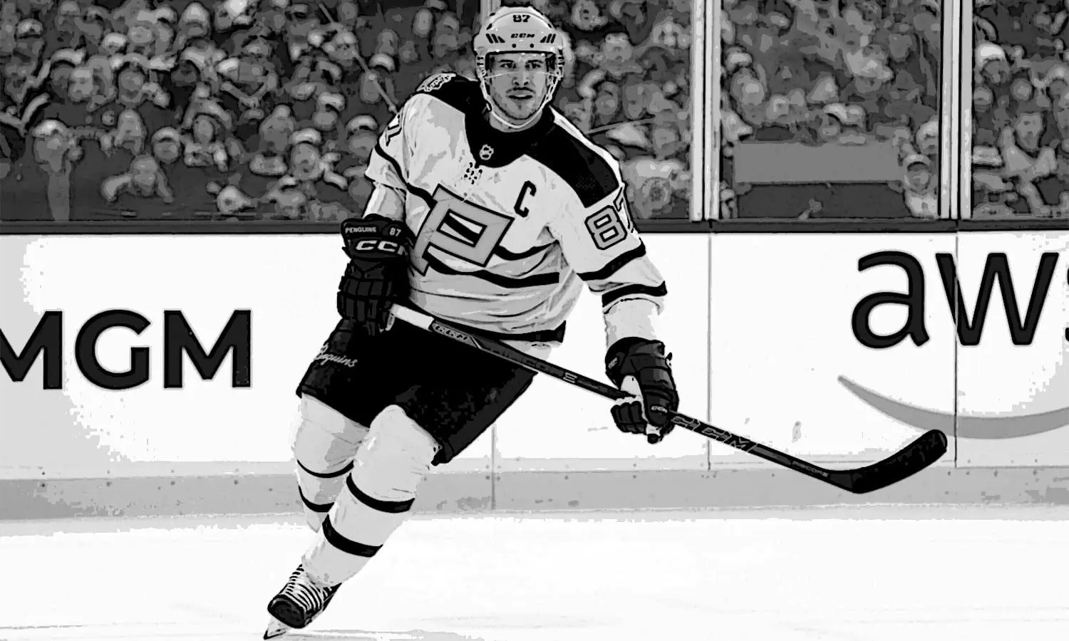 Best Ice Hockey Sticks