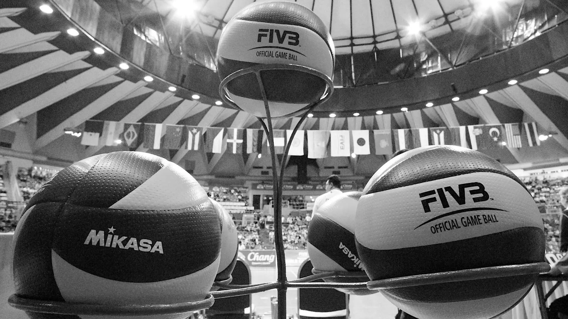 Best Indoor Volleyballs