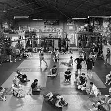Best MMA Gyms in Brisbane Australia