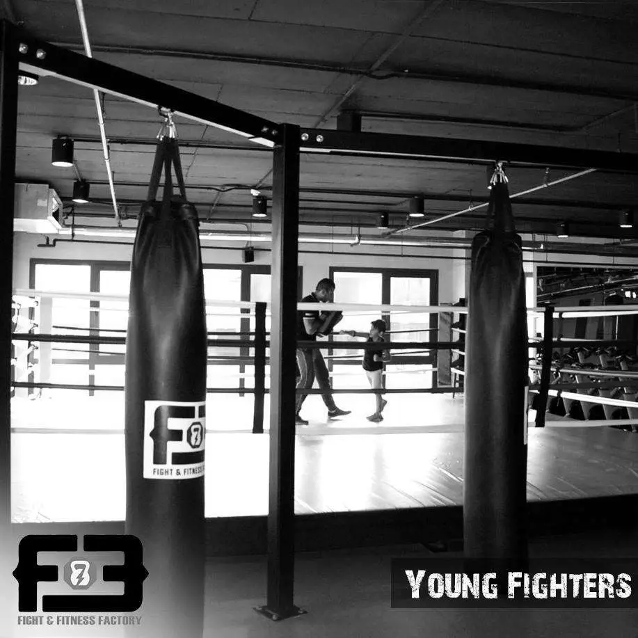 Best MMA Gyms in Cairo Egypt
