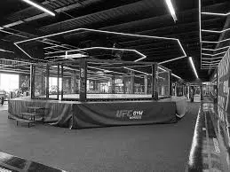 Best MMA Gyms in Casablanca, Morocco