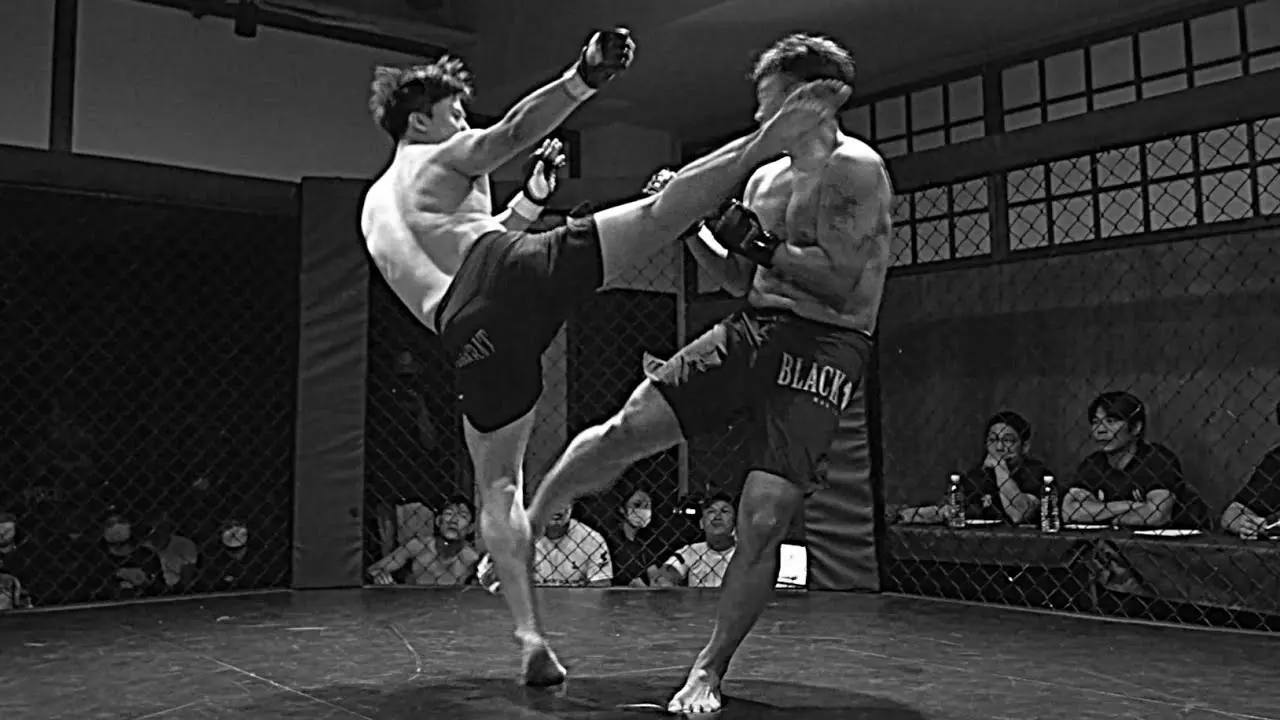 Best MMA Gyms in Cheongju, South Korea