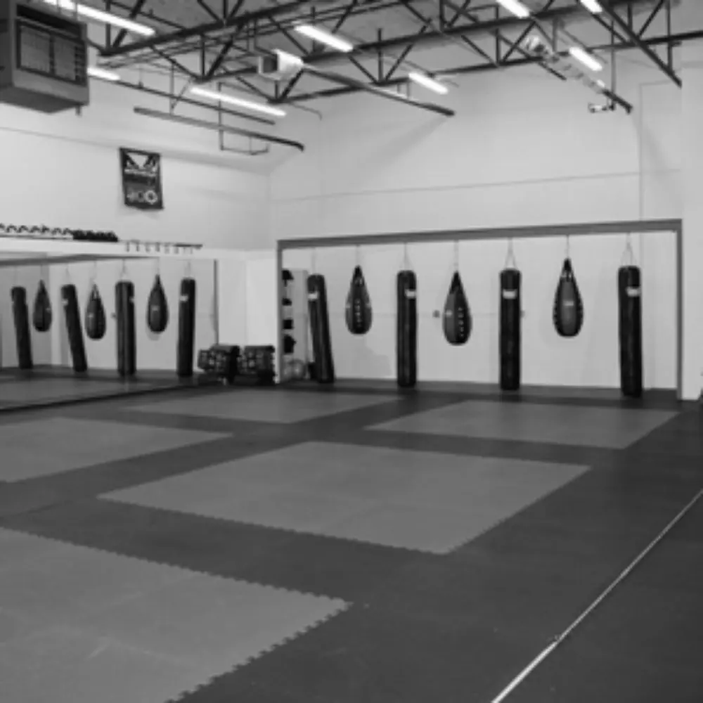 Best MMA Gyms in Chicago Illinois