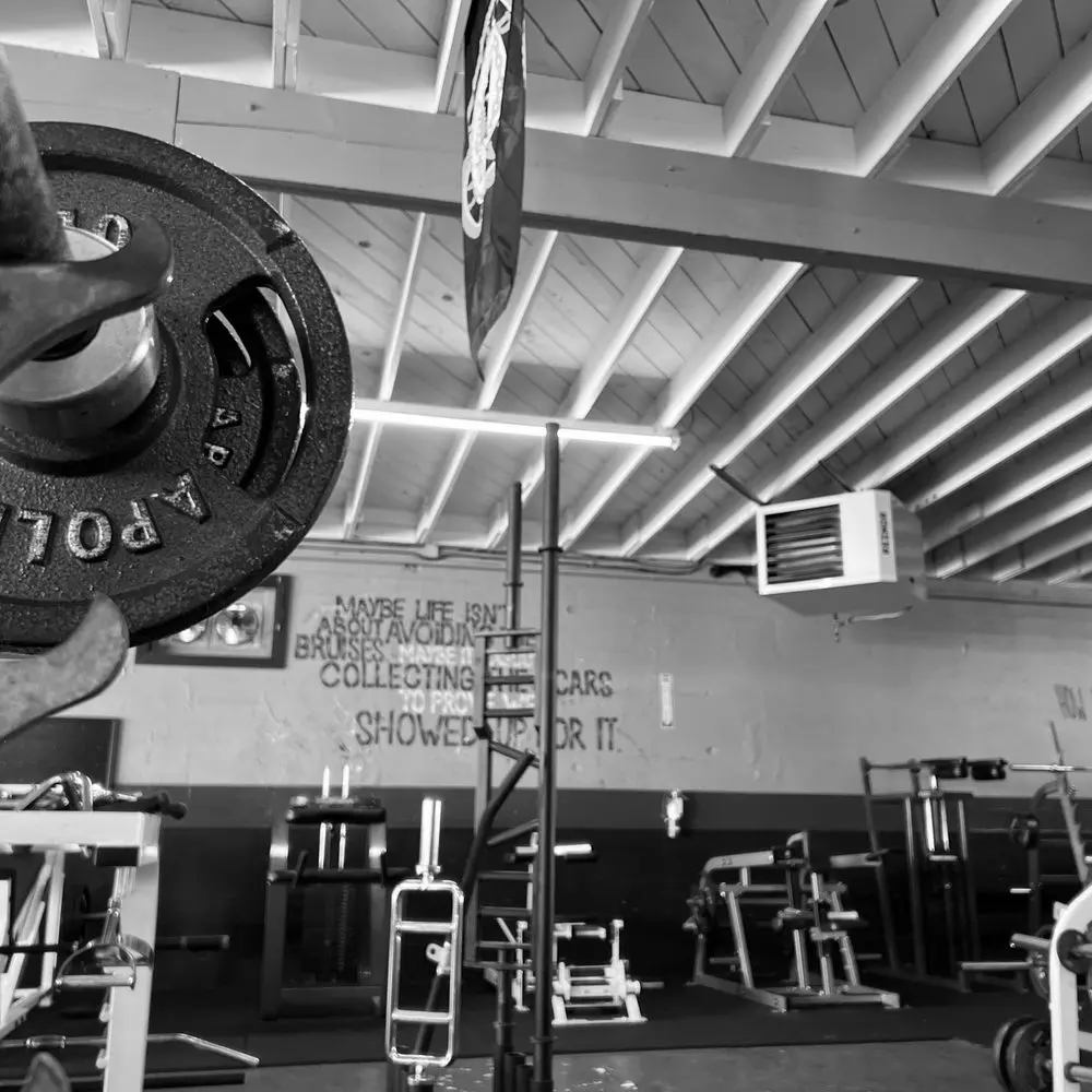 Best MMA Gyms in Chico CA