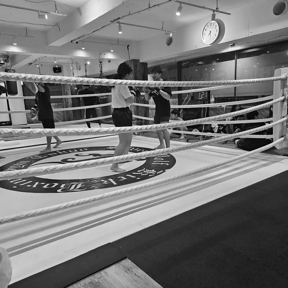 Best MMA Gyms in Chiyoda Tokyo Japan