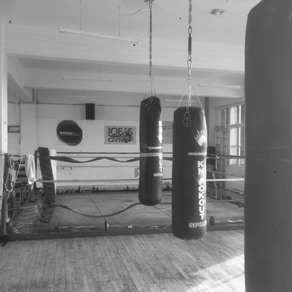 Best MMA Gyms in Copenhagen Denmark