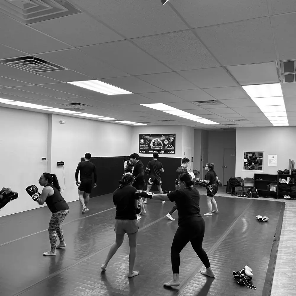 Best MMA Gyms in Dallas TX