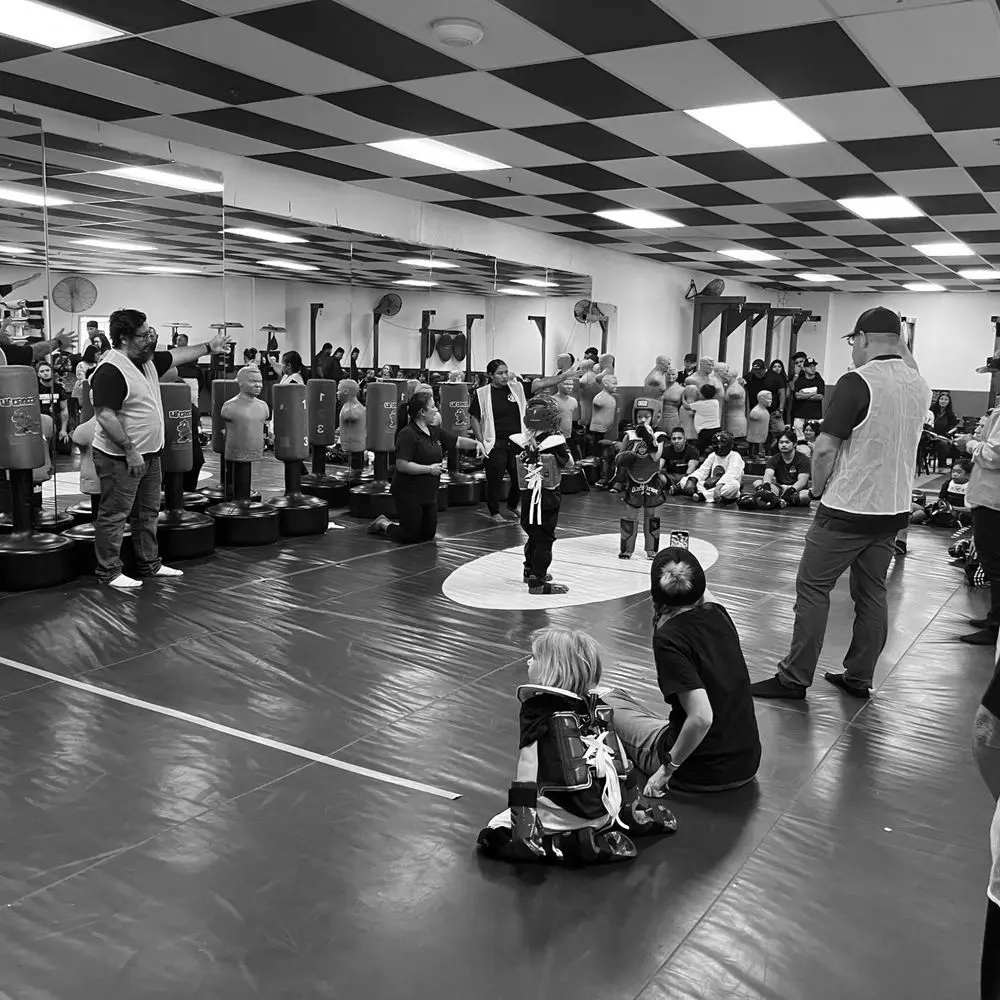 Best MMA Gyms in Guri South Korea