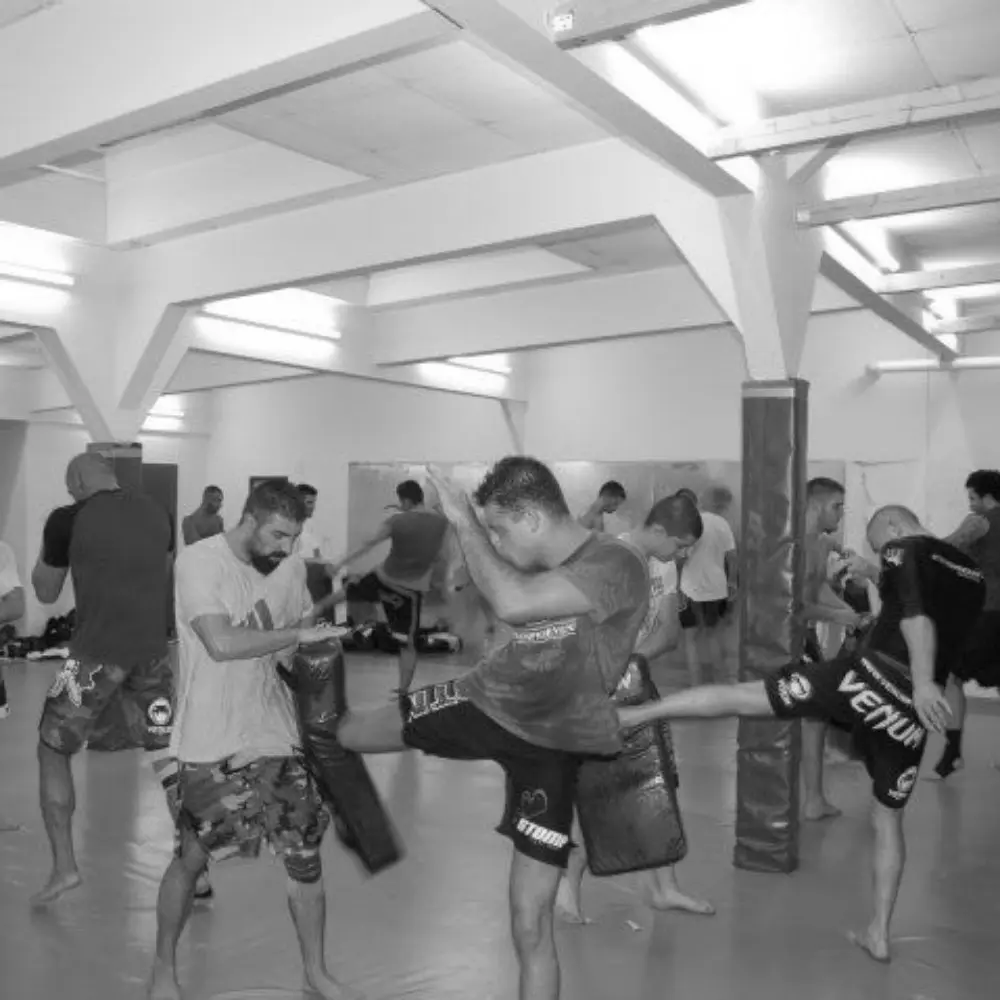 Best MMA Gyms in Hamburg Germany