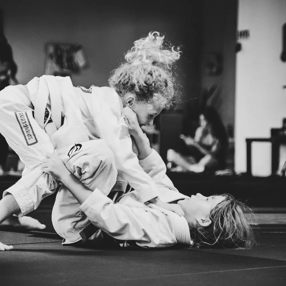 Best MMA Gyms in Hilo Hawaii