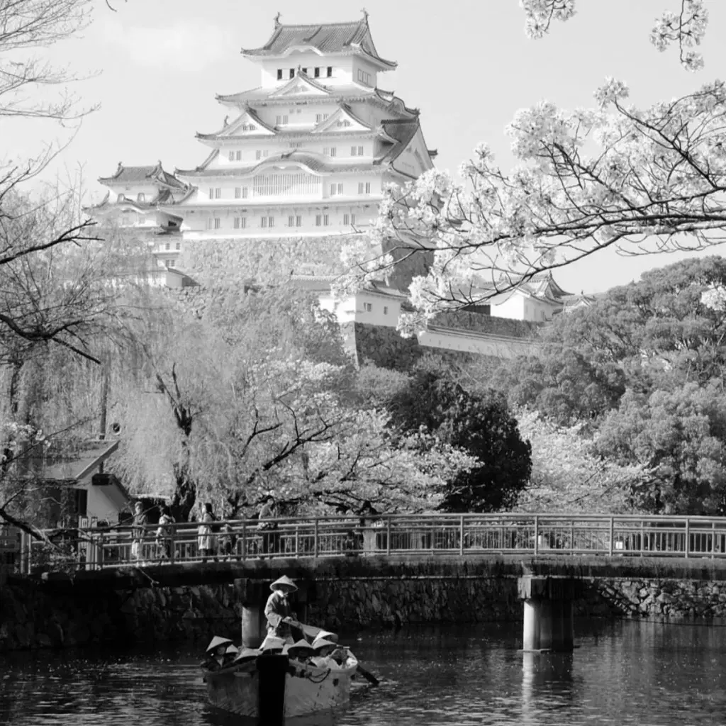 Best MMA Gyms in Himeji Japan