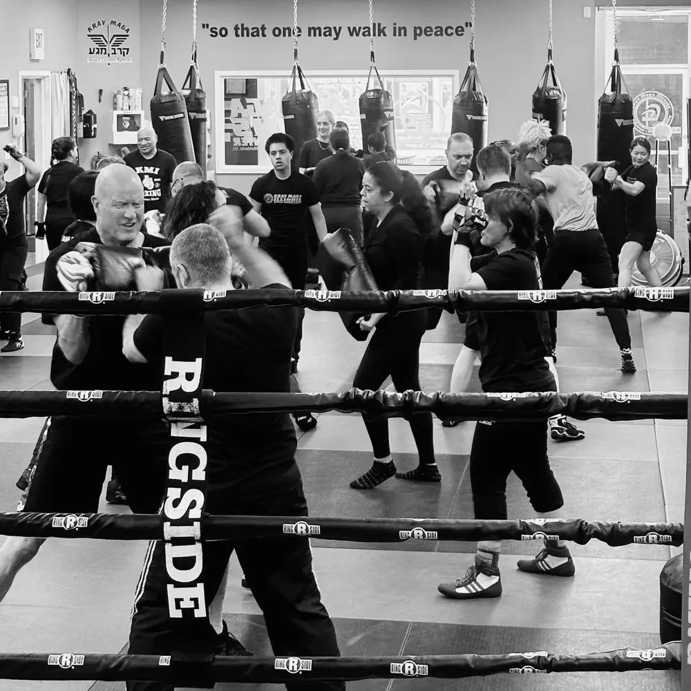 Best MMA Gyms in Hiroshima Japan