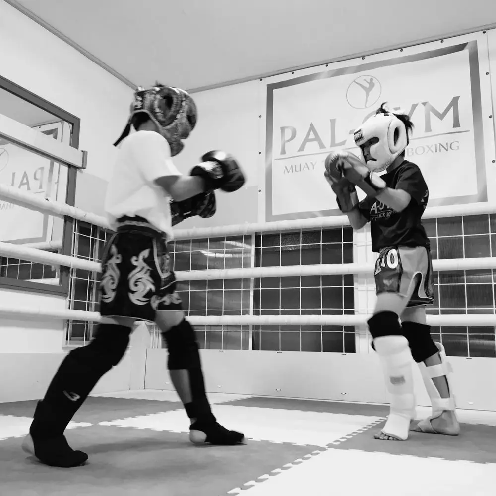 Best MMA Gyms in Katsushika Japan