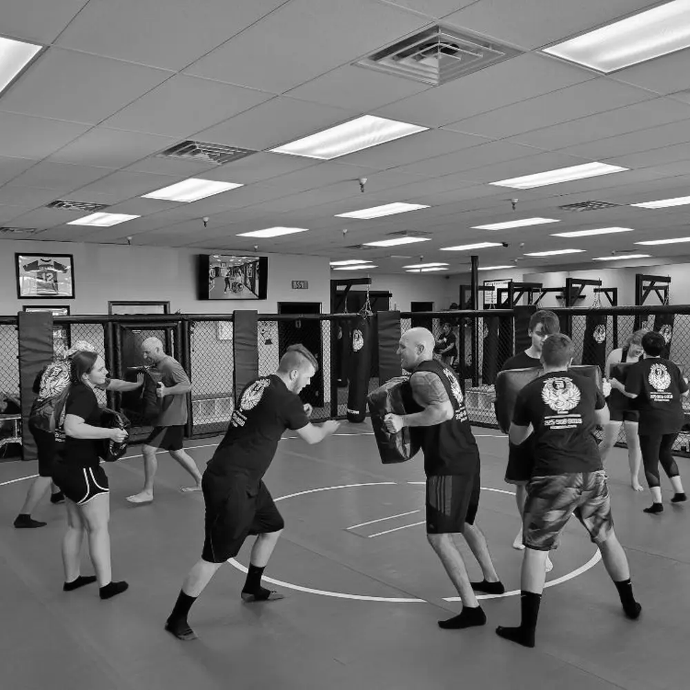 Best MMA Gyms in Lafayette LA
