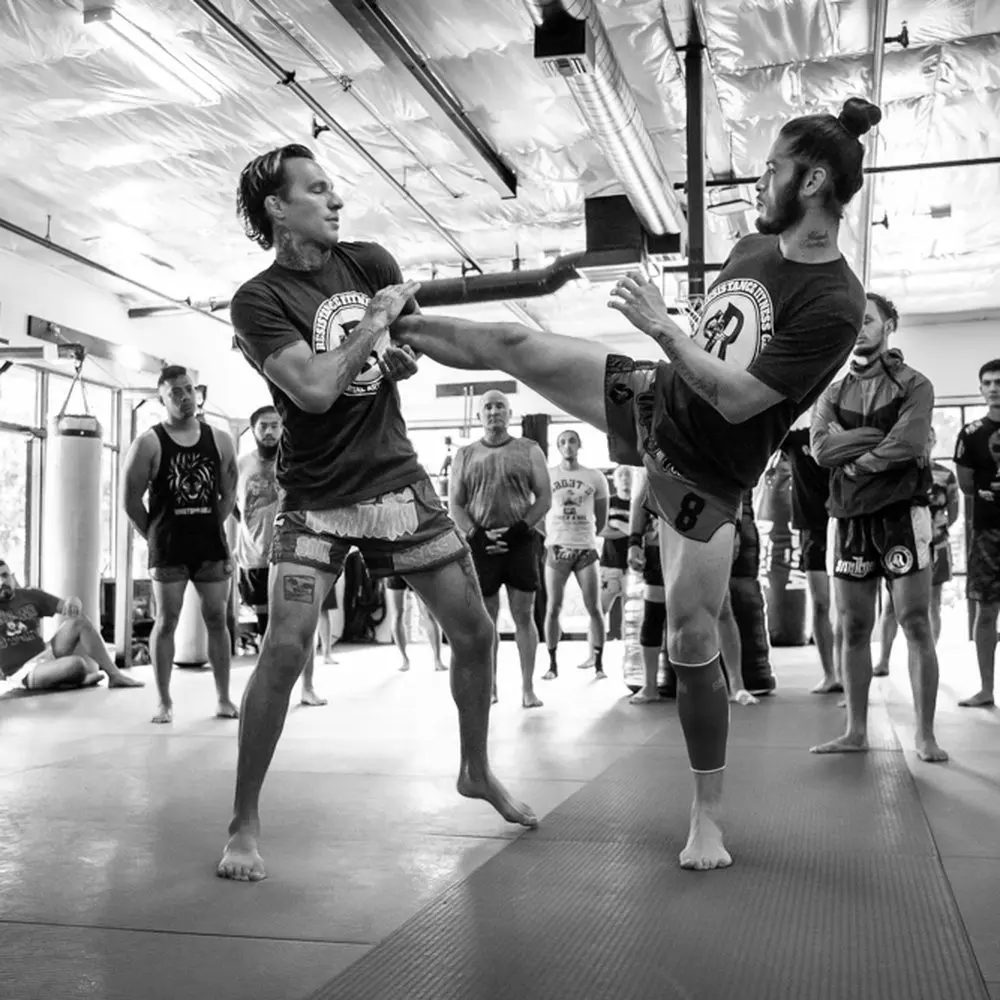 Best MMA Gyms in Lodi CA