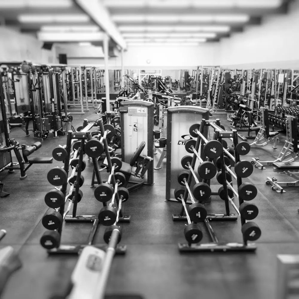 Best MMA Gyms in Rochester MN