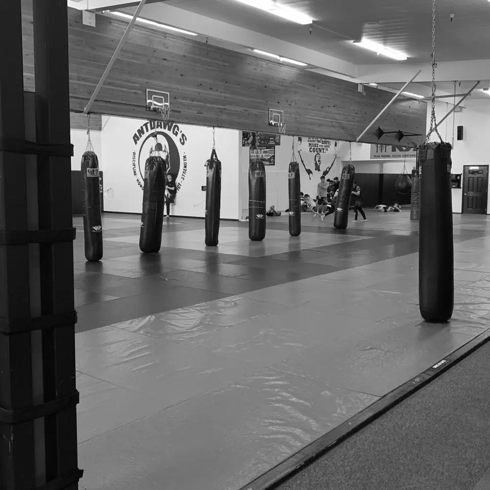 Best MMA Gyms in Salinas CA
