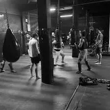 Best MMA Gyms in San Juan Puerto Rico