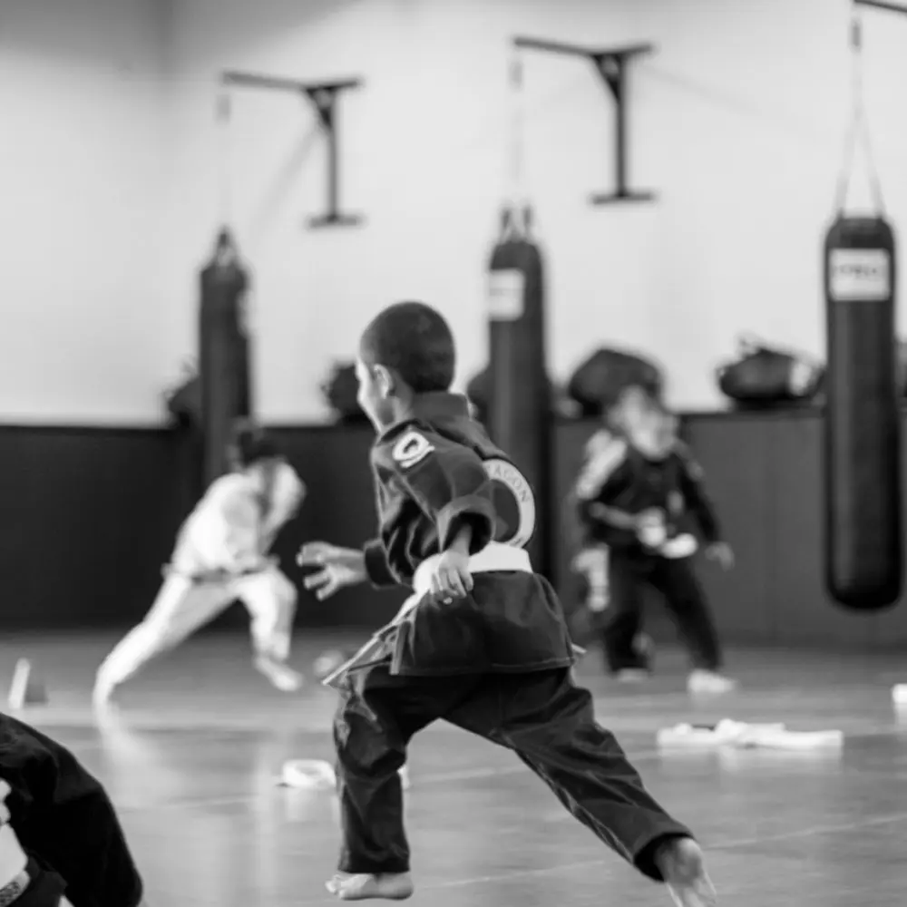 Best MMA Gyms in Santa Barbara CA