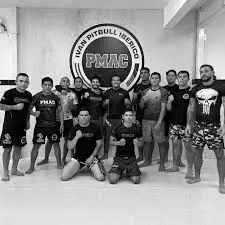 Best MMA Gyms in Santiago de Surco Peru