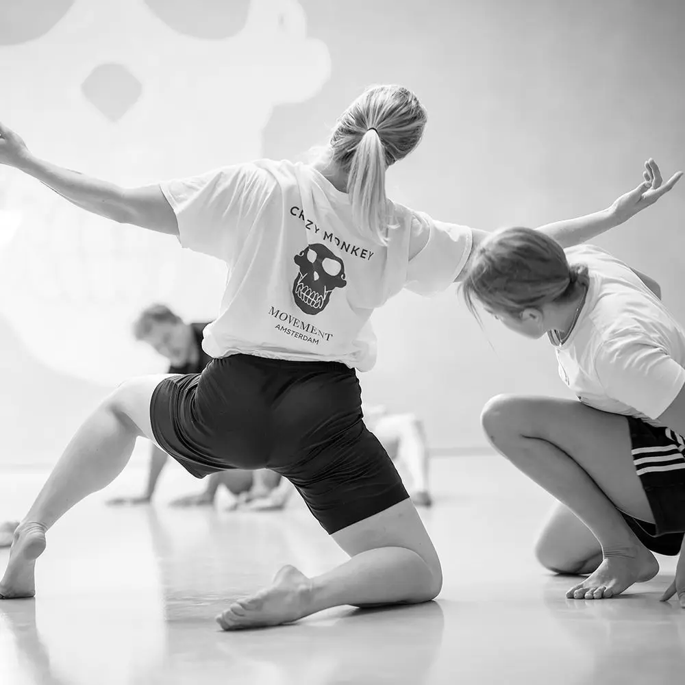 Best MMA Gyms in Utrecht, Netherlands