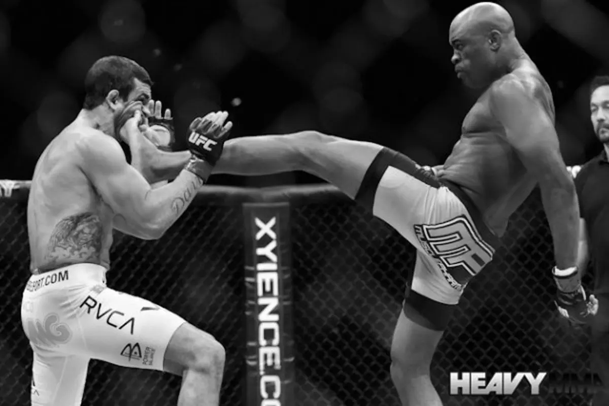 Best MMA Kicking Targets