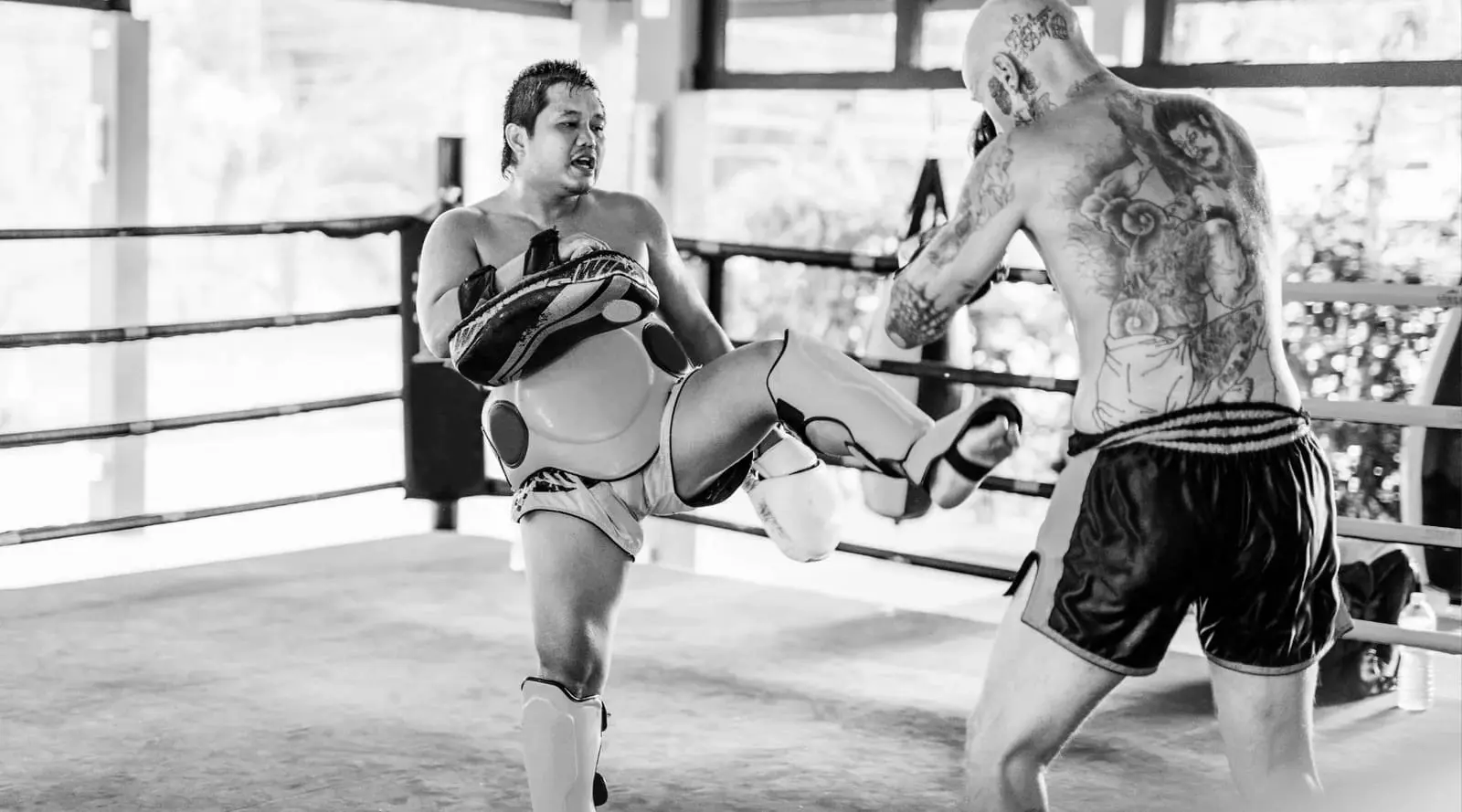 Best MMA Shin Guards