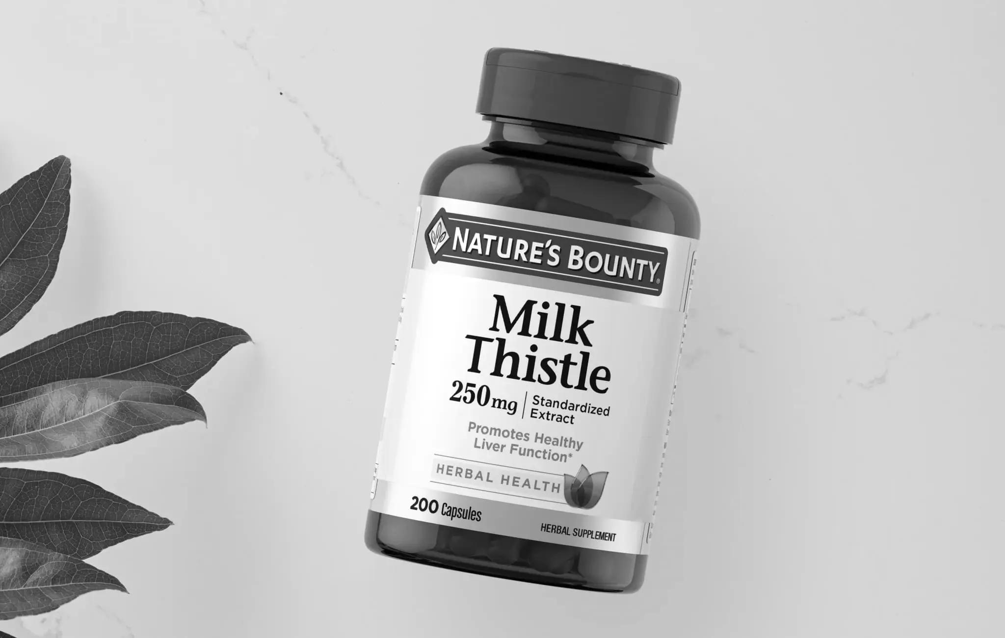 Best Milk Thistle Herbal Supplements
