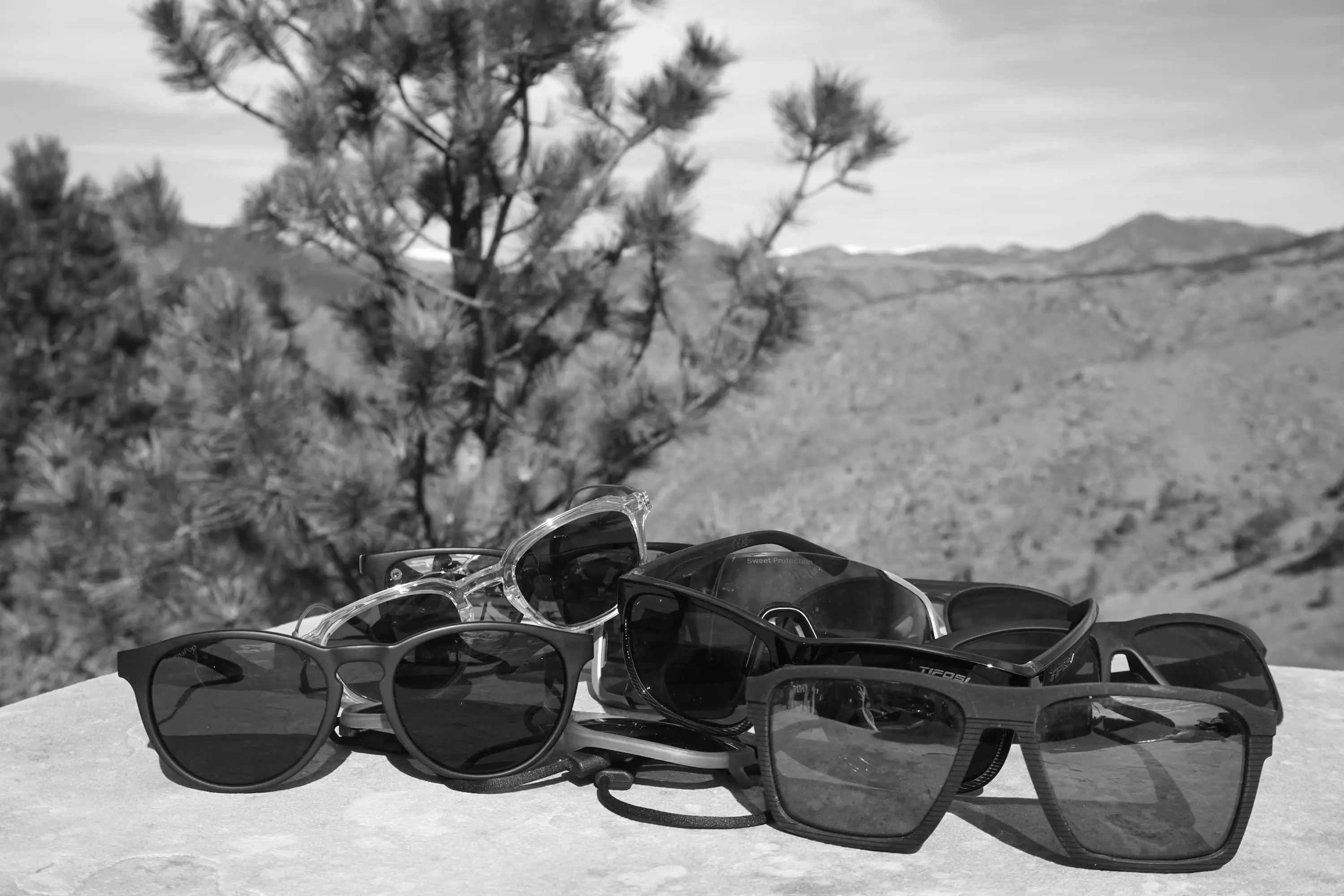 Best Polarized Camping and Hiking