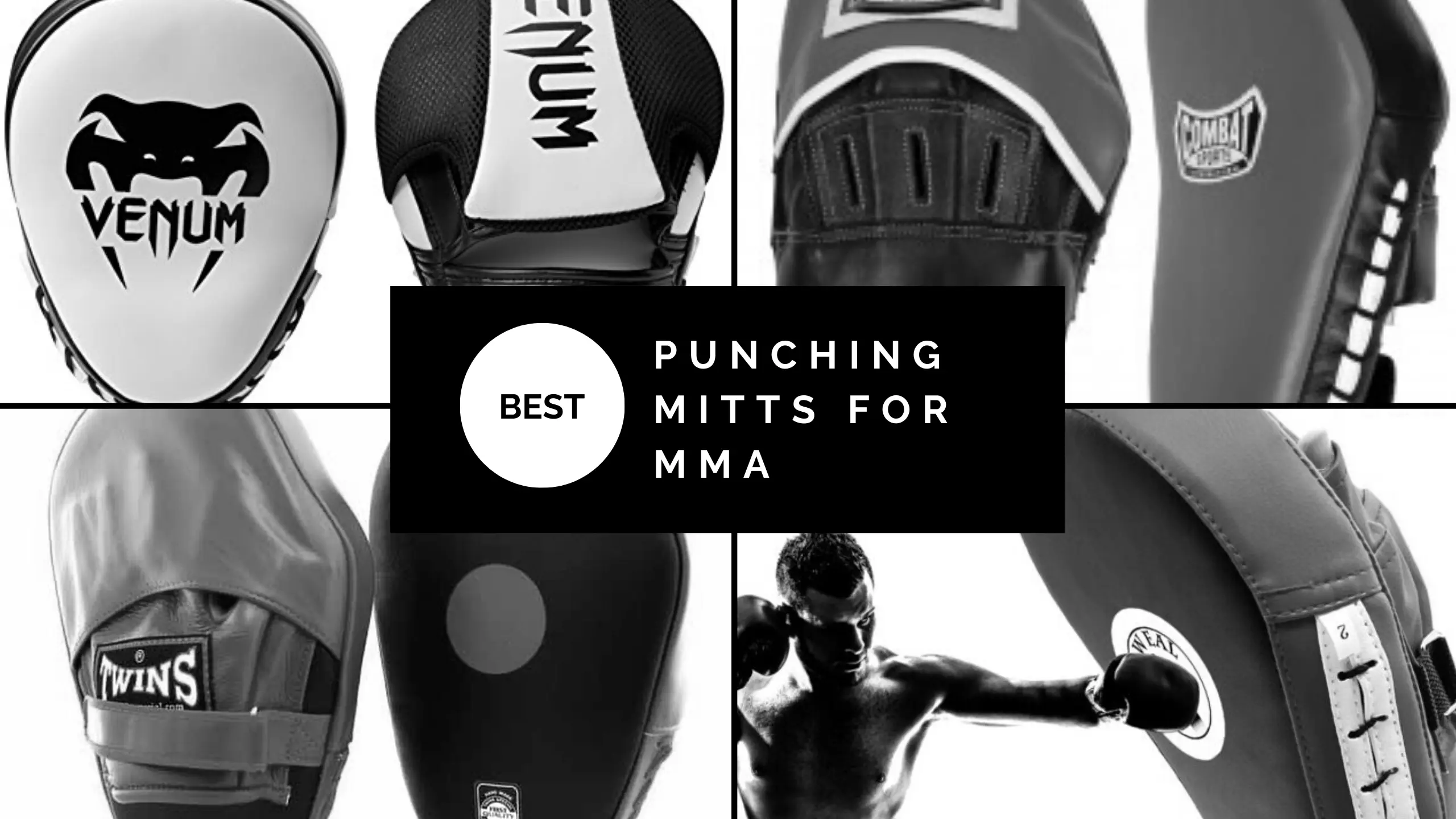 Best Punch Mitts