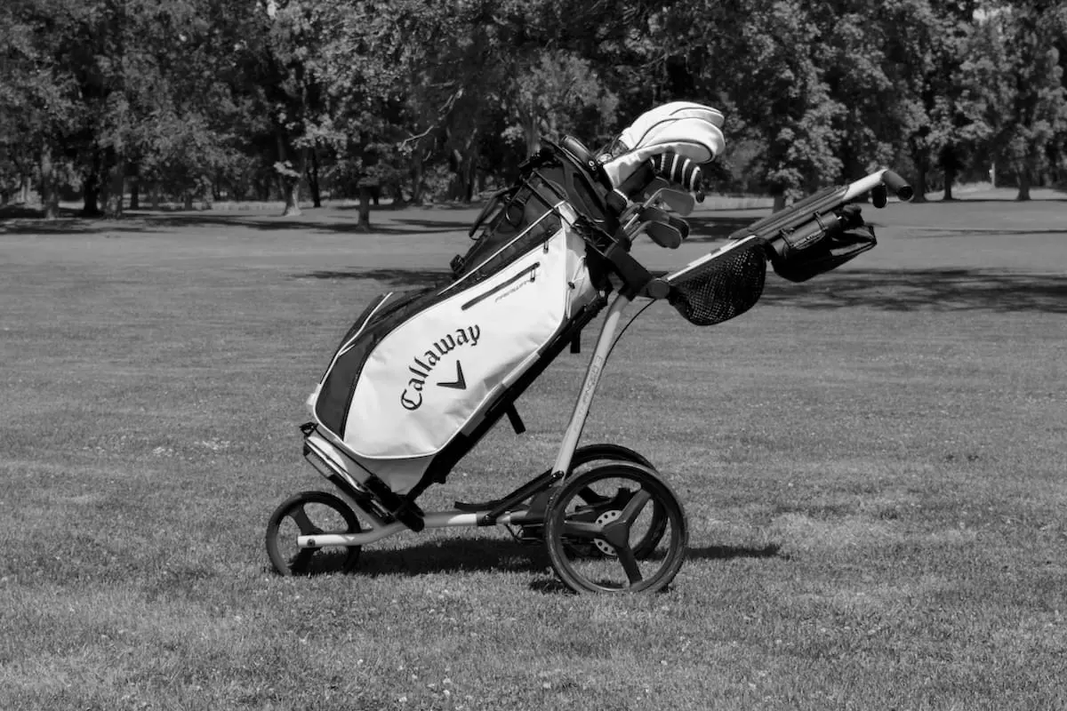 Best Push Pull Golf Carts