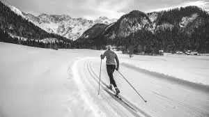 Best Race and Performance Skate Skis