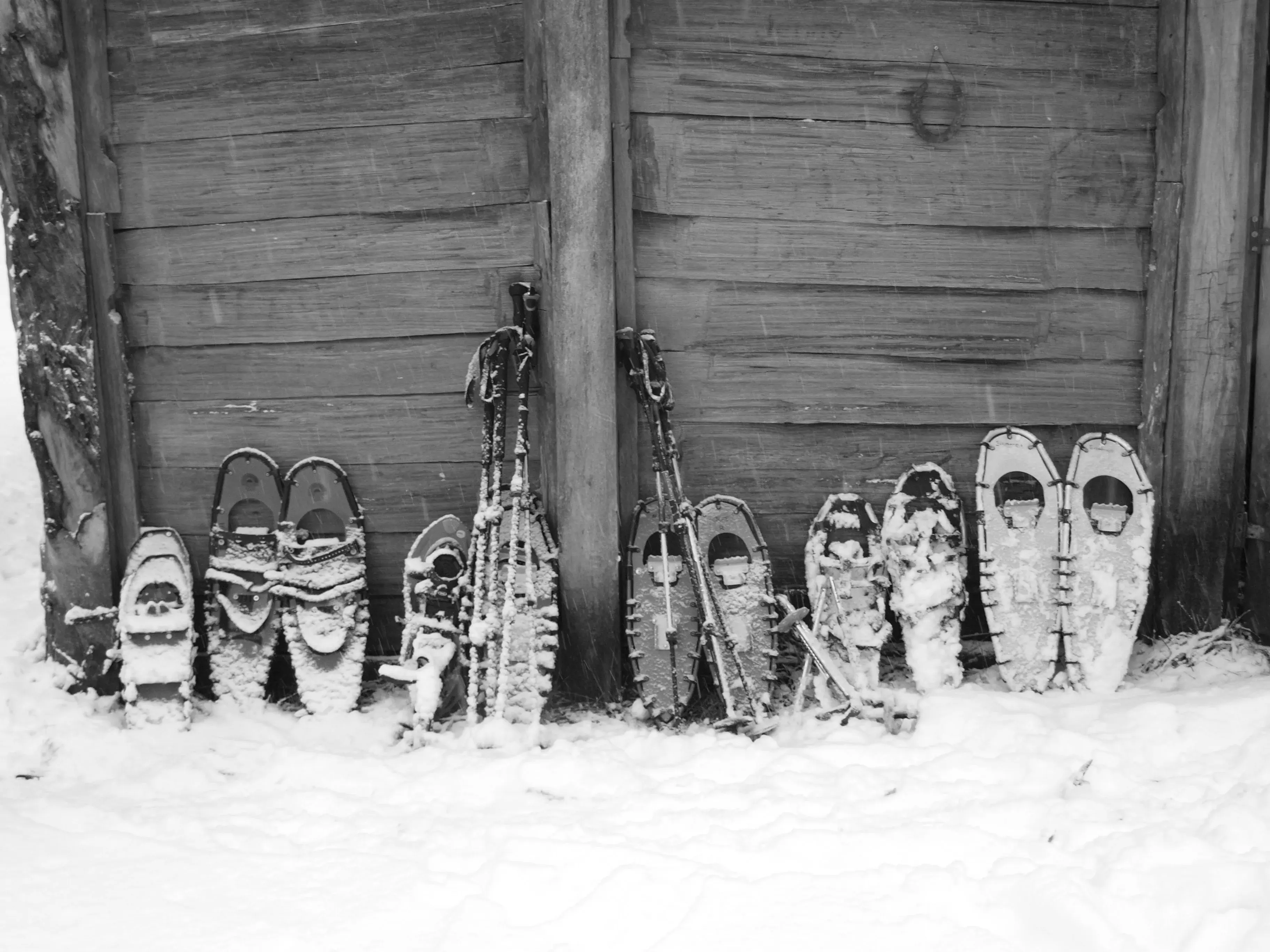 Best Snowshoe Accessories