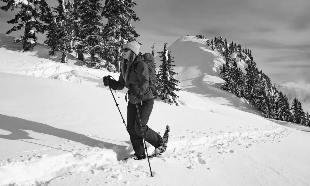 Best Snowshoe Poles