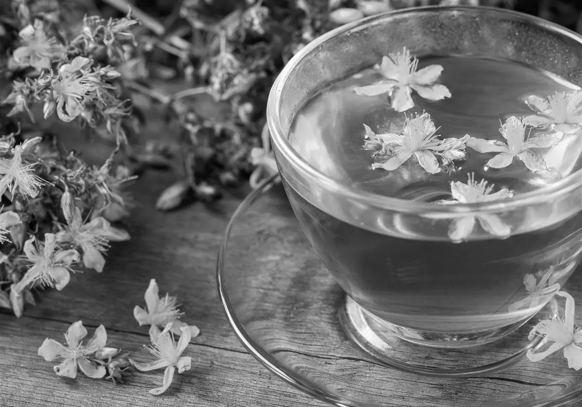 Best St. John's Wort Herbal Supplements