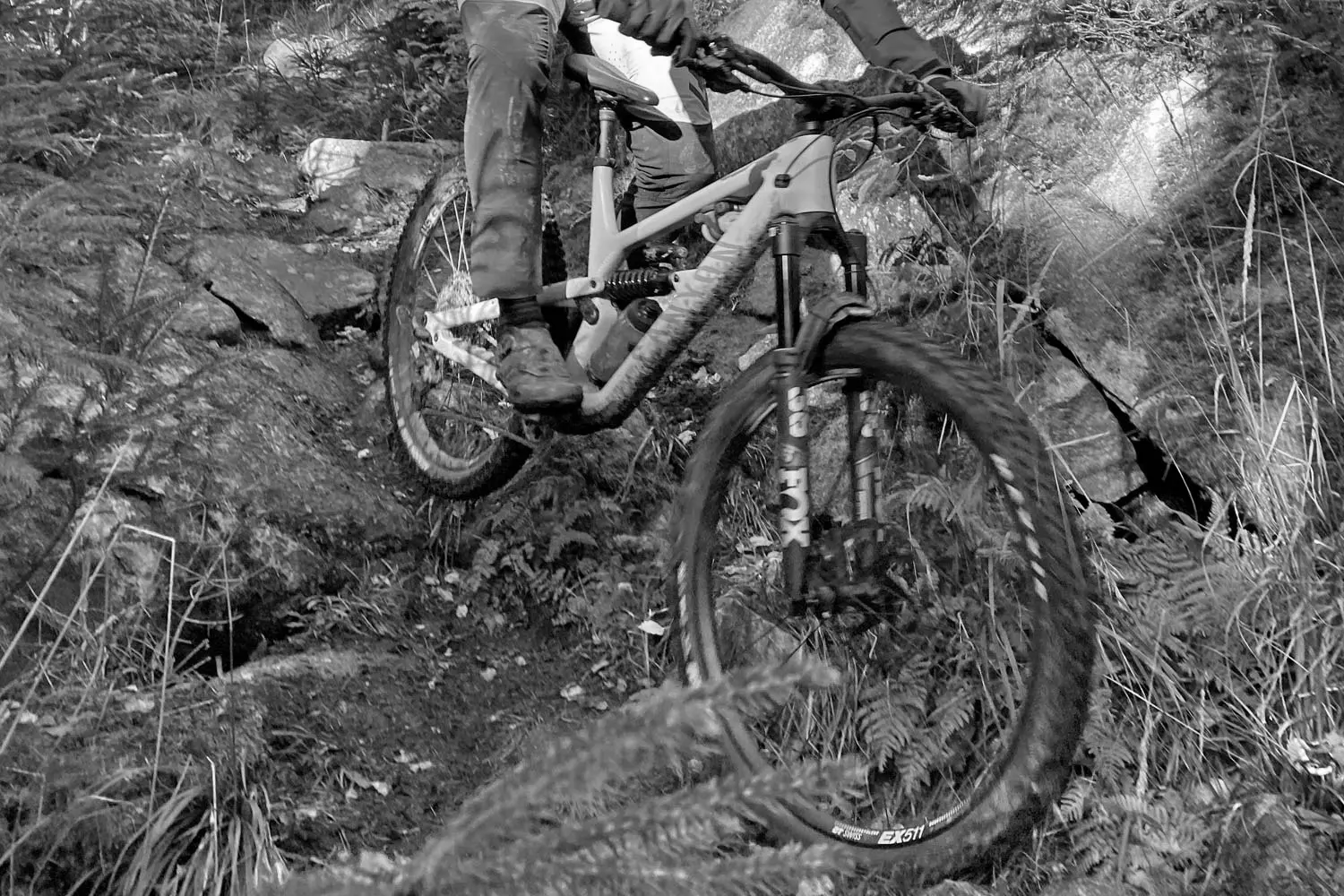 Best Tubeless Mountain Bike Tires