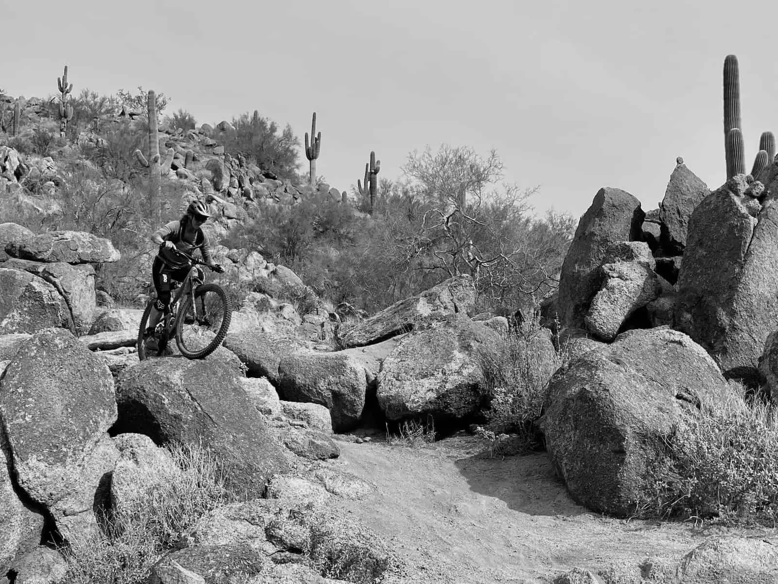 Best Womens Mountain Bikes