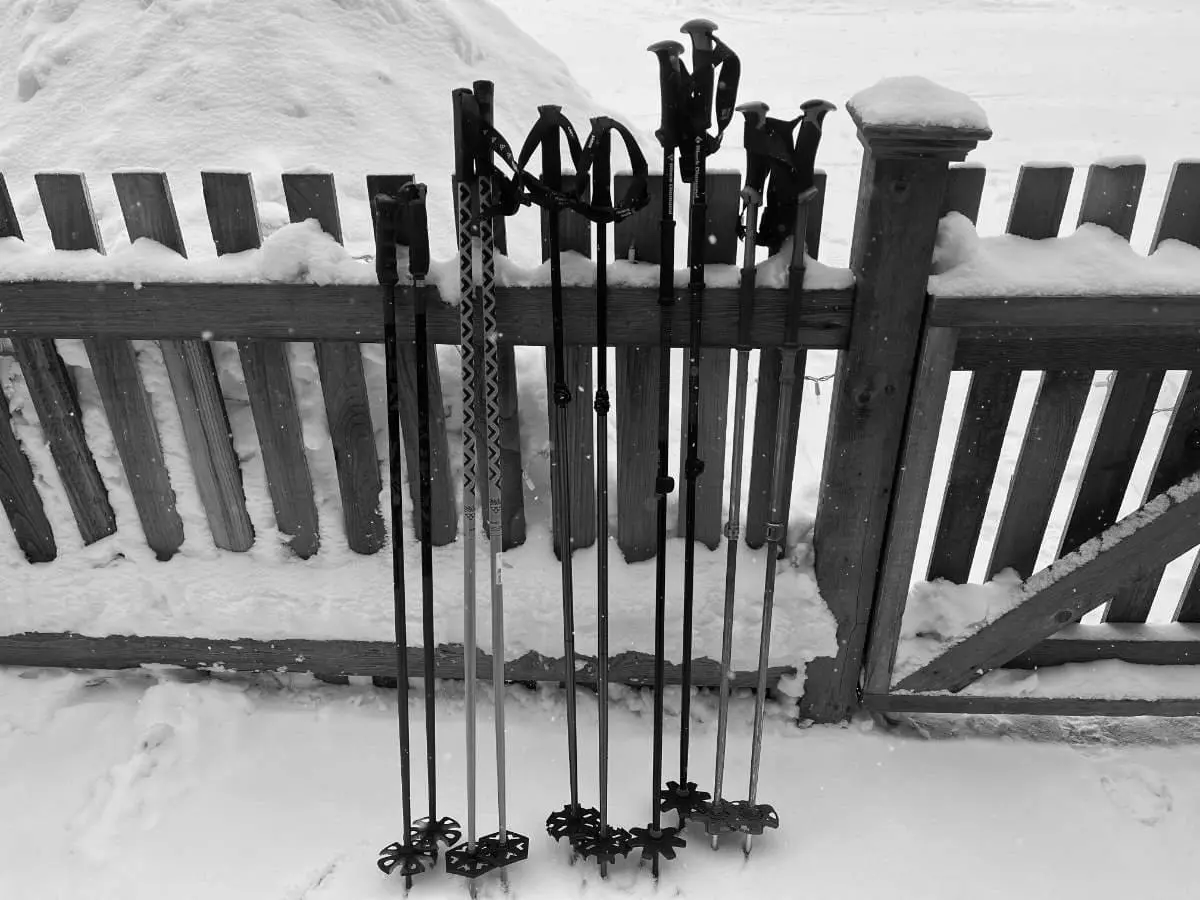 Best Womens Ski Poles